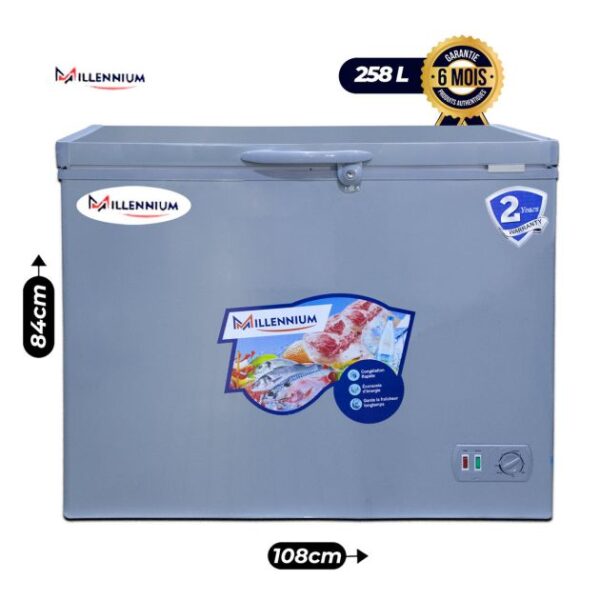 Congélateur Coffre à un Battant - MILLENNIUM-CF-360SLV - No Frost - 258 Litres - Gris - Garantie 6 mois