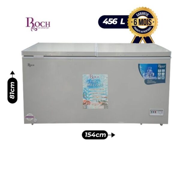 CONGÉLATEUR ROCH RCF- 550 - G - 456L - Gris - 6 mois