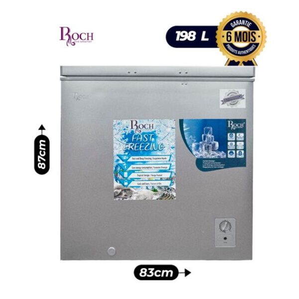 Congélateur Coffre - ROCH - RCF-250-E - Économique - 198 Litres - Gel Rapide - R600a - Gris - Garantie 6 mois
